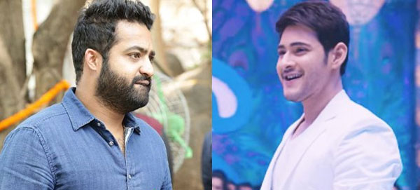 mahesh babu,ntr,brahmotsavam,srikanth addala,gunasekhar,jr ntr  ఆ విషయంలో మహేష్‌ కంటే ఎన్టీఆరే బెటర్!